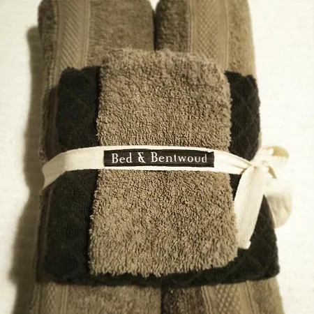 Bed & Bentwoud Bed and breakfast Benthuizen