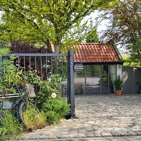 Bed & Bentwoud 3* Benthuizen