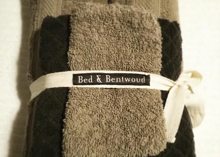 Bed & Bentwoud Bed & Breakfast Benthuizen